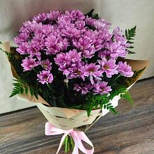 Букет цветов из:  Хризантемы #REPLACE_PRED# Полысаево