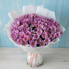Букет цветов из:  Хризантемы в Полысаево