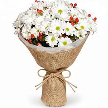 Букет цветов из:  Хризантемы #REPLACE_PRED# Полысаево