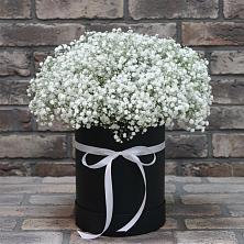 Цветочная композиция из Гипсофила в шляпной коробке в Полысаево